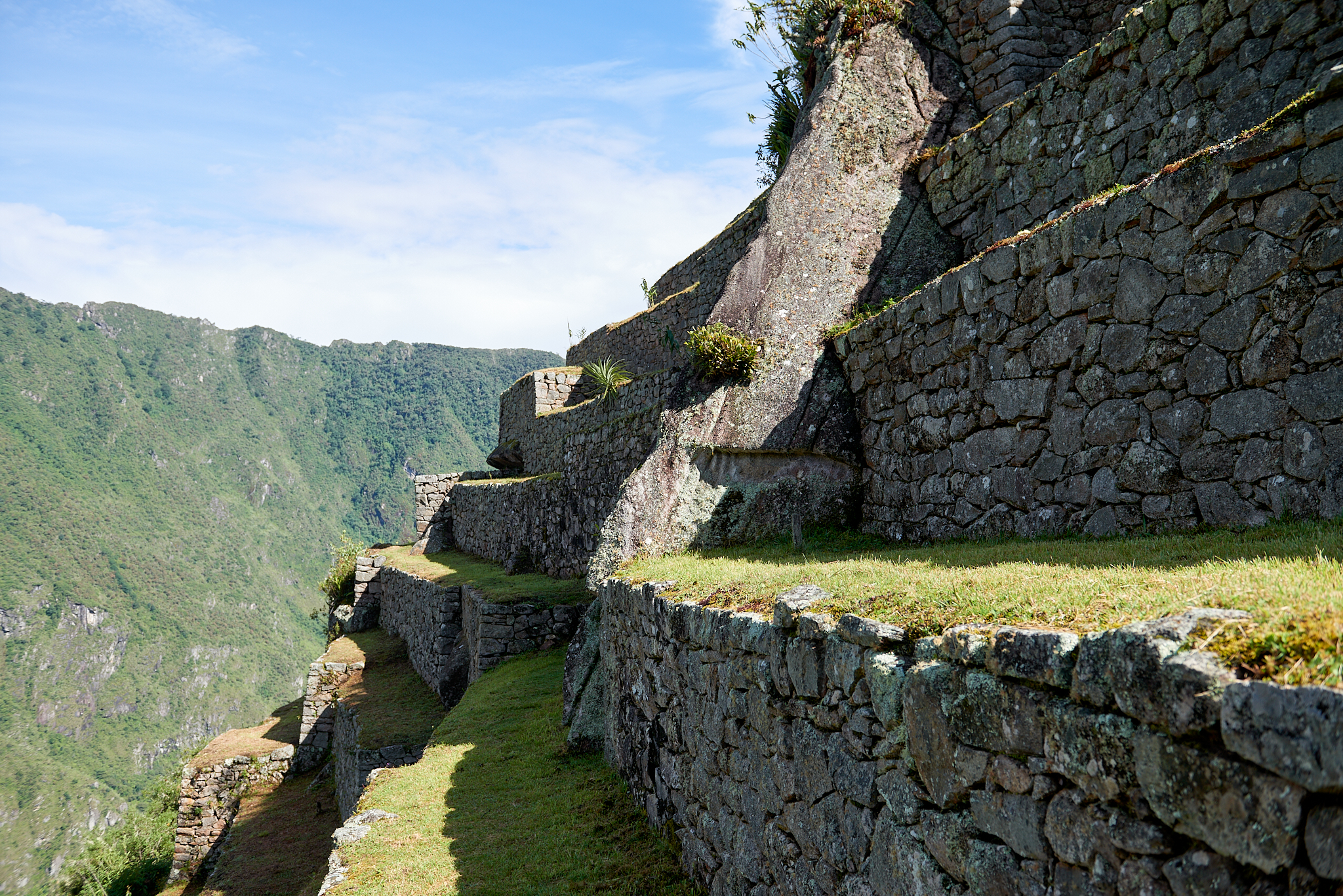 20200308 665 [페루] 마추픽추